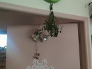 img_20211222_095140