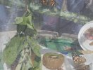 img-20250520-wa0024